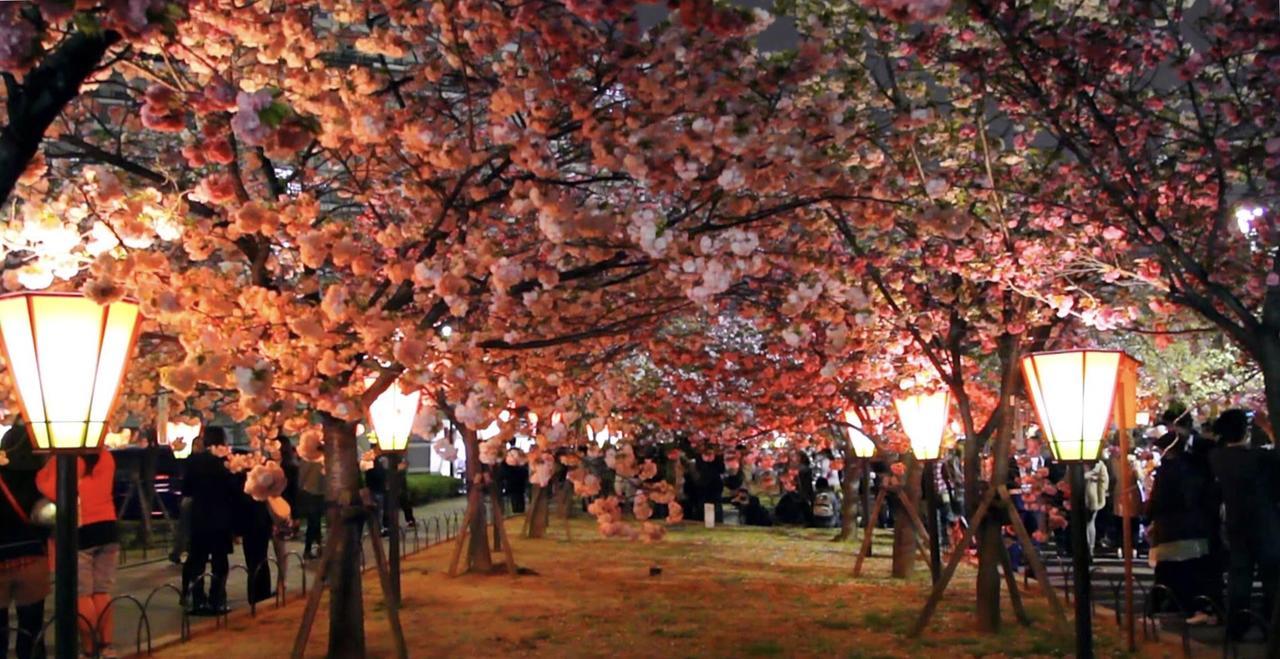 Uni Hostel Osaka Dış mekan fotoğraf